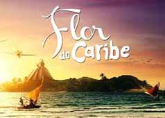 Flor do Caribe